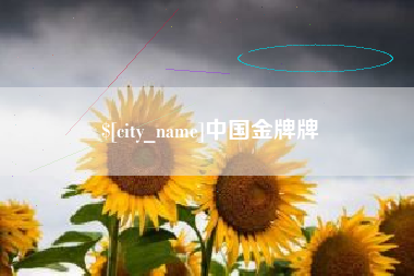 泗阳中国金牌牌