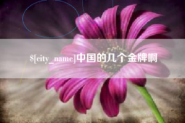 泗阳中国的几个金牌啊