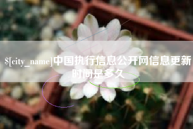 泗阳中国执行信息公开网信息更新时间是多久