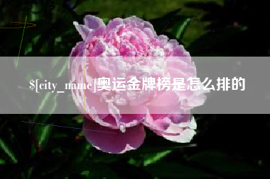 泗阳奥运金牌榜是怎么排的