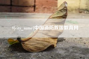 泗阳中国消防救援教育网