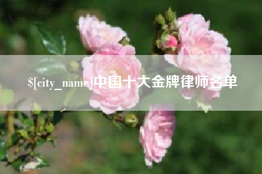 泗阳中国十大金牌律师名单