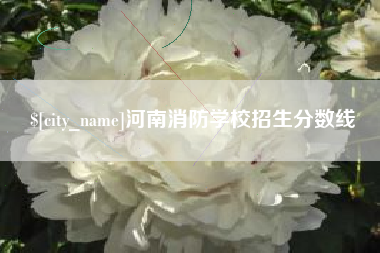 泗阳河南消防学校招生分数线