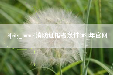 泗阳消防证报考条件2024年官网