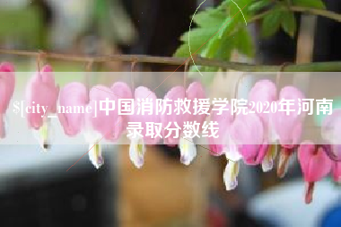 泗阳中国消防救援学院2020年河南录取分数线