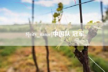 泗阳中国队 冠军