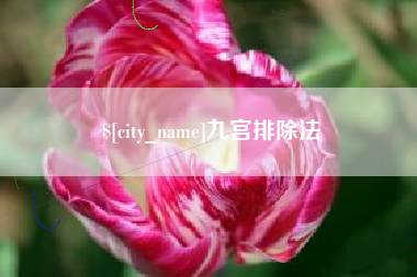 泗阳九宫排除法