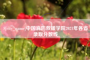 泗阳中国消防救援学院2021年各省录取分数线