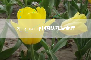 泗阳中国队九块金牌