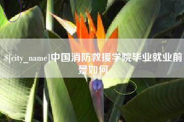 泗阳中国消防救援学院毕业就业前景如何