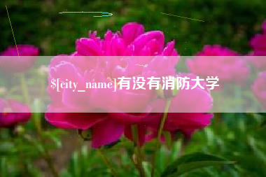泗阳有没有消防大学