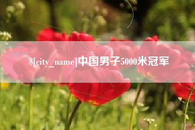 泗阳中国男子5000米冠军