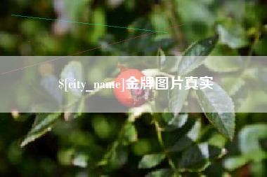 泗阳金牌图片真实