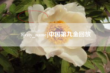 泗阳中国第九金回放