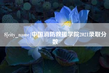 泗阳中国消防救援学院2021录取分数