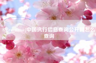 泗阳中国执行信息查询公开网怎么查询