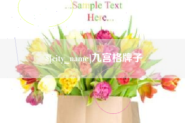 泗阳九宫格牌子