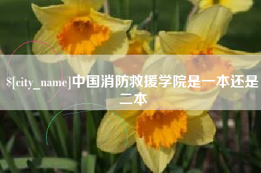 泗阳中国消防救援学院是一本还是二本