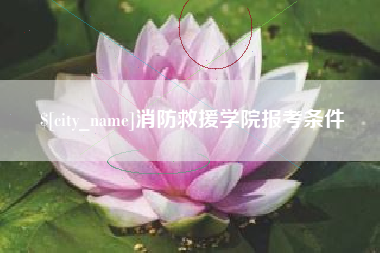泗阳消防救援学院报考条件