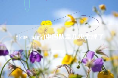 泗阳中国队拿几块金牌了