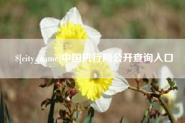 泗阳中国执行网公开查询入口