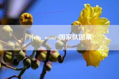 泗阳国家队图案