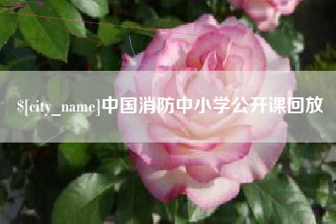 泗阳中国消防中小学公开课回放
