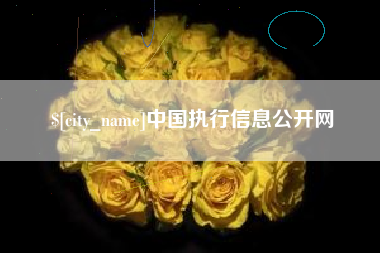 泗阳中国执行信息公开网