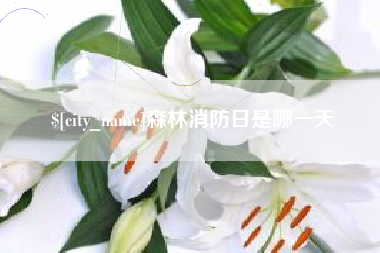泗阳森林消防日是哪一天