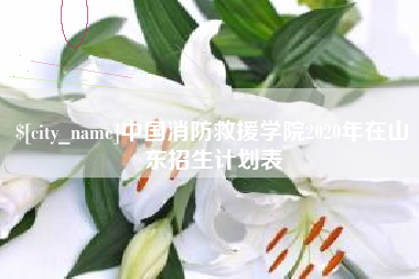 泗阳中国消防救援学院2020年在山东招生计划表