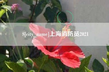 泗阳上海消防员2021