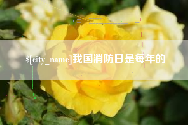 泗阳我国消防日是每年的
