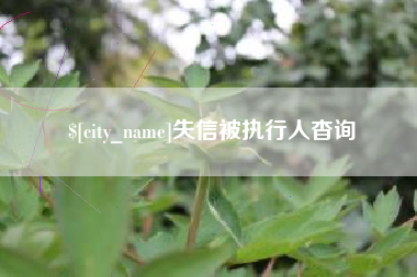 泗阳失信被执行人杳询