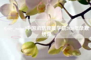 泗阳中国消防救援学院2020年录取结果