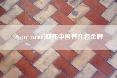 泗阳现在中国有几名金牌