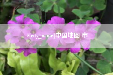 泗阳中国地图 市