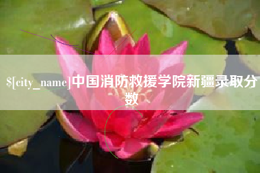泗阳中国消防救援学院新疆录取分数