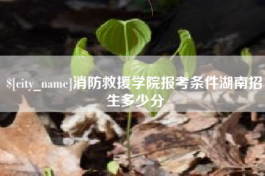 泗阳消防救援学院报考条件湖南招生多少分