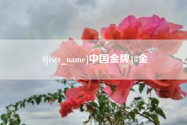 泗阳中国金牌18金