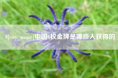泗阳中国6枚金牌是哪些人获得的