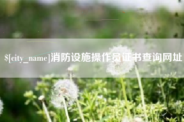 泗阳消防设施操作员证书查询网址