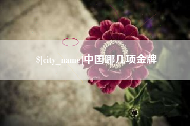 泗阳中国哪几项金牌