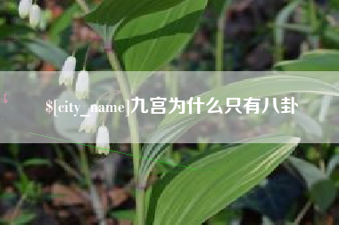 泗阳九宫为什么只有八卦