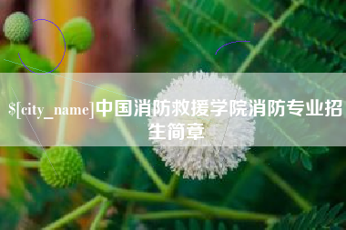 泗阳中国消防救援学院消防专业招生简章