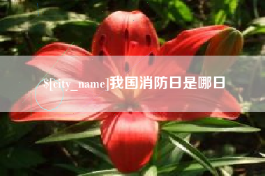 泗阳我国消防日是哪日