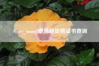 泗阳查消防资格证书查询