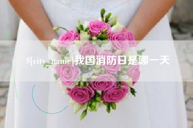 泗阳我国消防日是哪一天