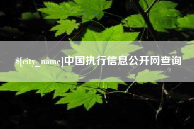泗阳中国执行信息公开网查询