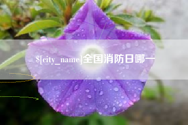 泗阳全国消防日哪一