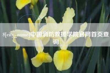 泗阳中国消防救援学院官网首页查询